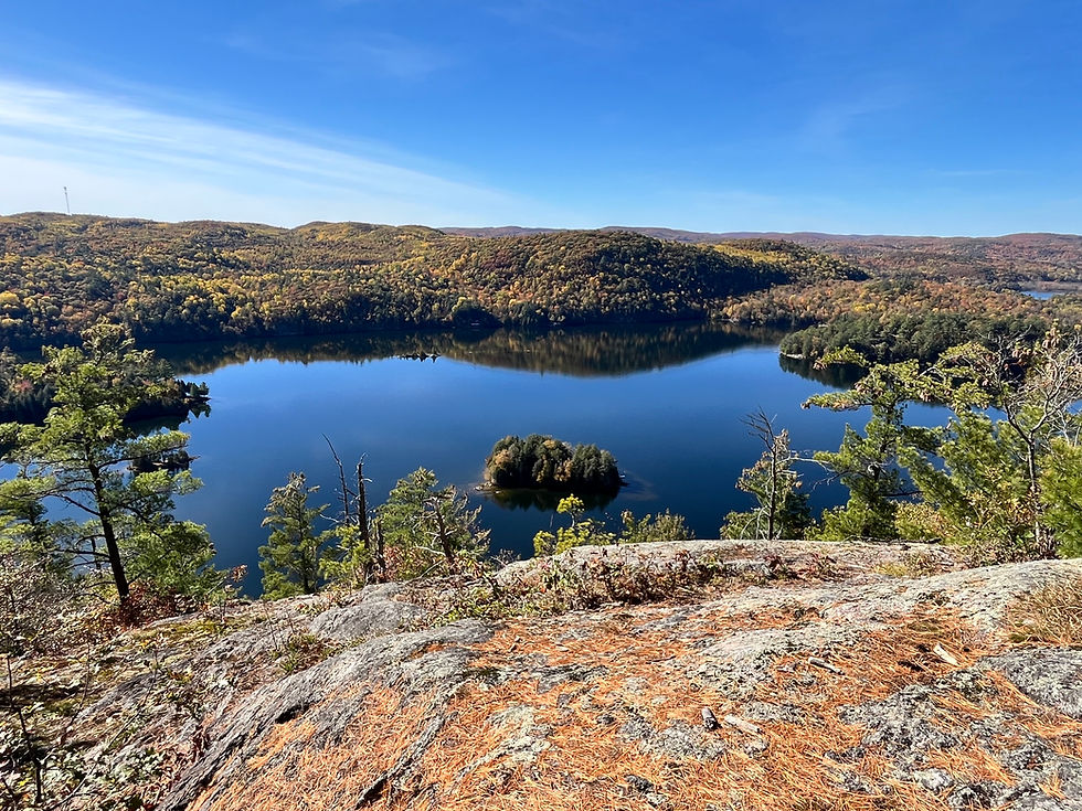 Panoramic view from a fall hike