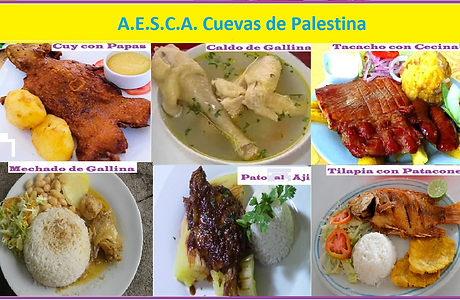 COMIDA DE AESCA....png