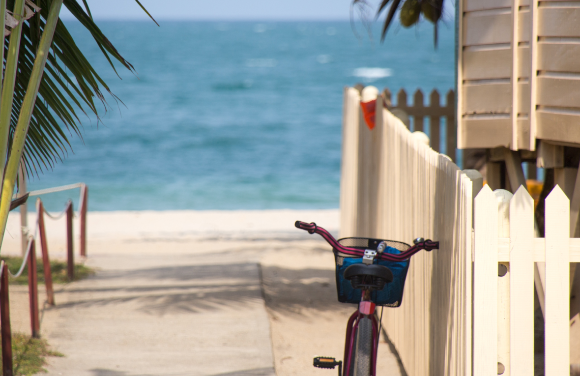 florida-guidebook-com-HkAbnEf0Jwc-unsplash 1.png