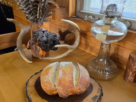 Michigan Forest Life - December 5, 2024