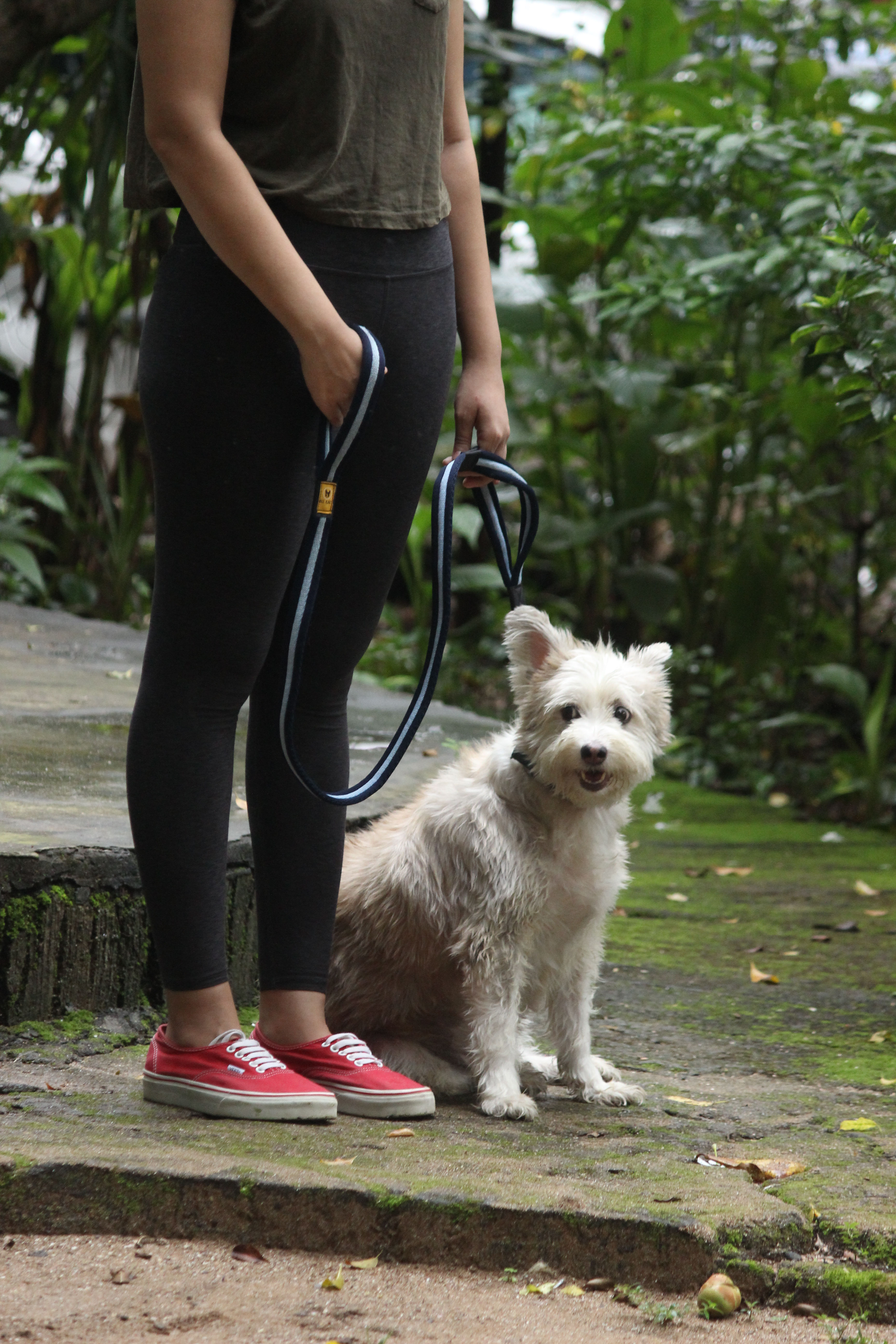 The Soft Gripper - Multicolor