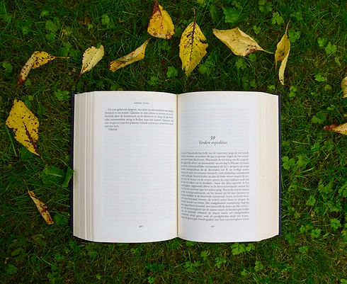 libro terreno libroterapia percorsi per crescere narrativa