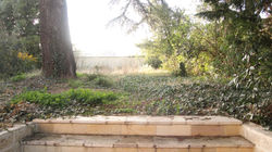 Oasis creation06.jpg