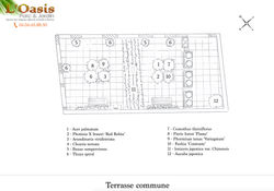 Plan-implantation-terrasse-commune-Oasis-Sarl.jpg