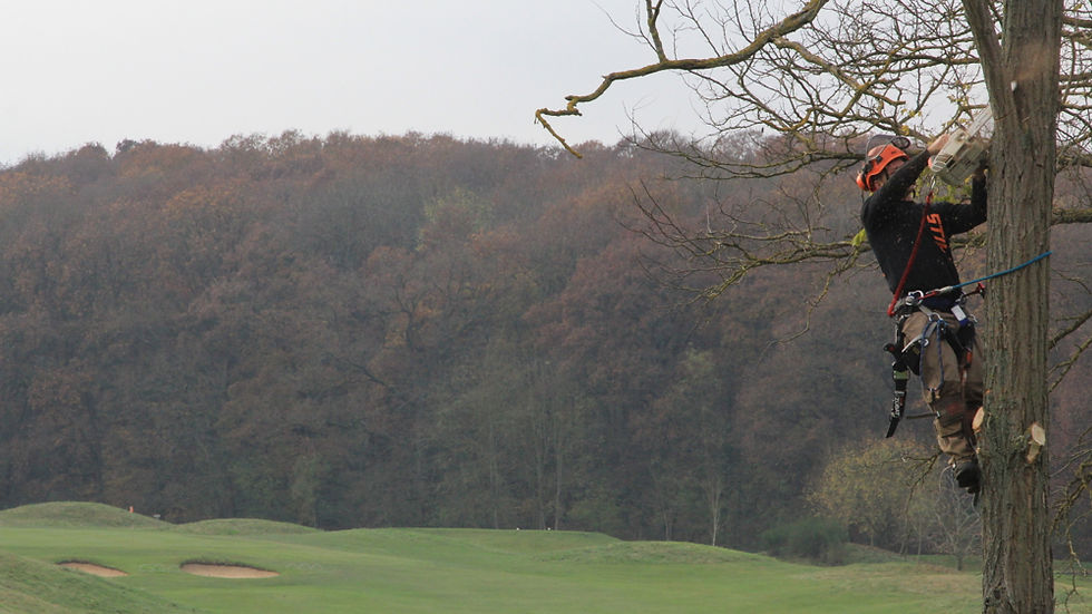 Oasis Golf St Marc 19