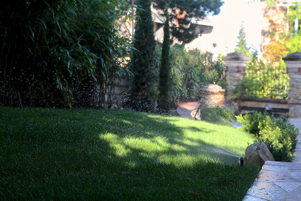 OASIS46.jpg