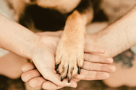 人間と犬
