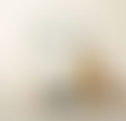 Positive Aspects Associated With Best Mass Gainers