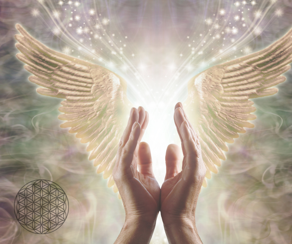 Design ohne Titel (7).png