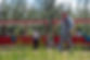 DSC_1699.jpg