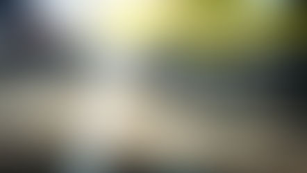 Weekmail 22 | 27 mei t/m 2 juni 2019