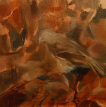 64F2AC01-D7C8-41A5-8B31-77A4580D3562.jpeg