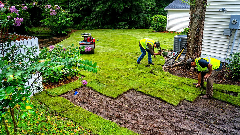 new-sod-installation-two-men-laying-sod-home-lawn_edited.jpg