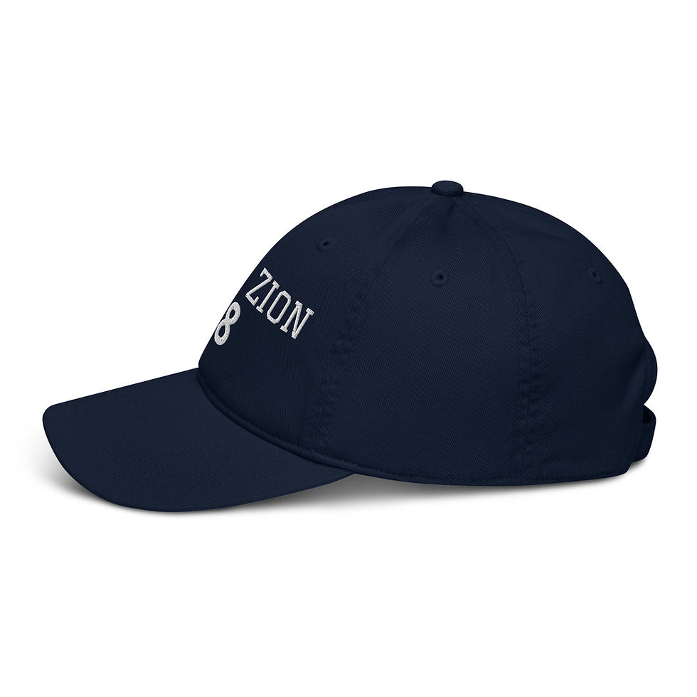 Thumbnail: Team Zion 18 Organic dad hat