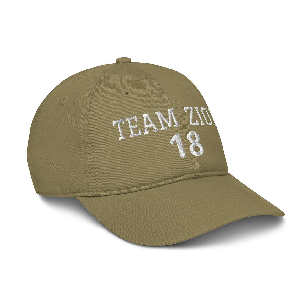 Thumbnail: Team Zion 18 Organic dad hat