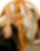 Group 511.png