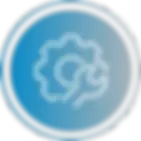 3431805_edit.webp