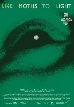 Poster - like moths to light.jpg