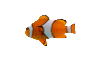 fish.gif