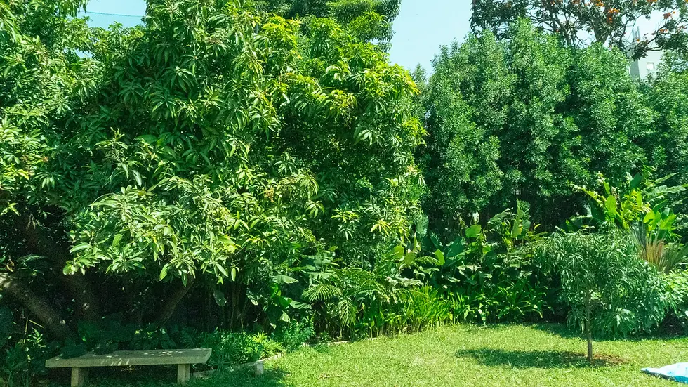 Kinfolk montessori surroundings