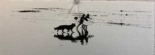 IMG_3626.jpeg