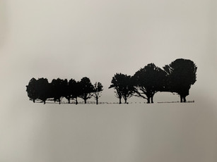 IMG_6223.jpeg