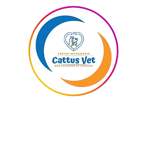 CacctusV todo para tu mascota