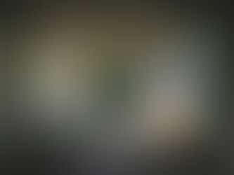 9. Tidigare liv som läkning