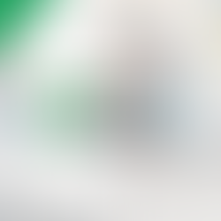 Seeing the whole child…