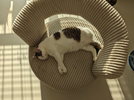 Światło we wnętrzu