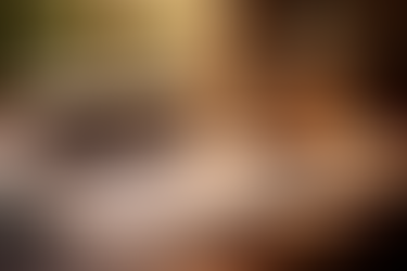 The Investor’s Quiet Edge