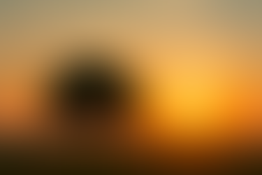 Buy and Forget: The Humanist Way of Investing