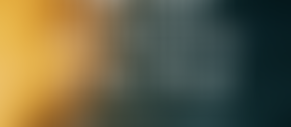 Bipolar Disorder: The Storm and the Stillness of the Human Mind