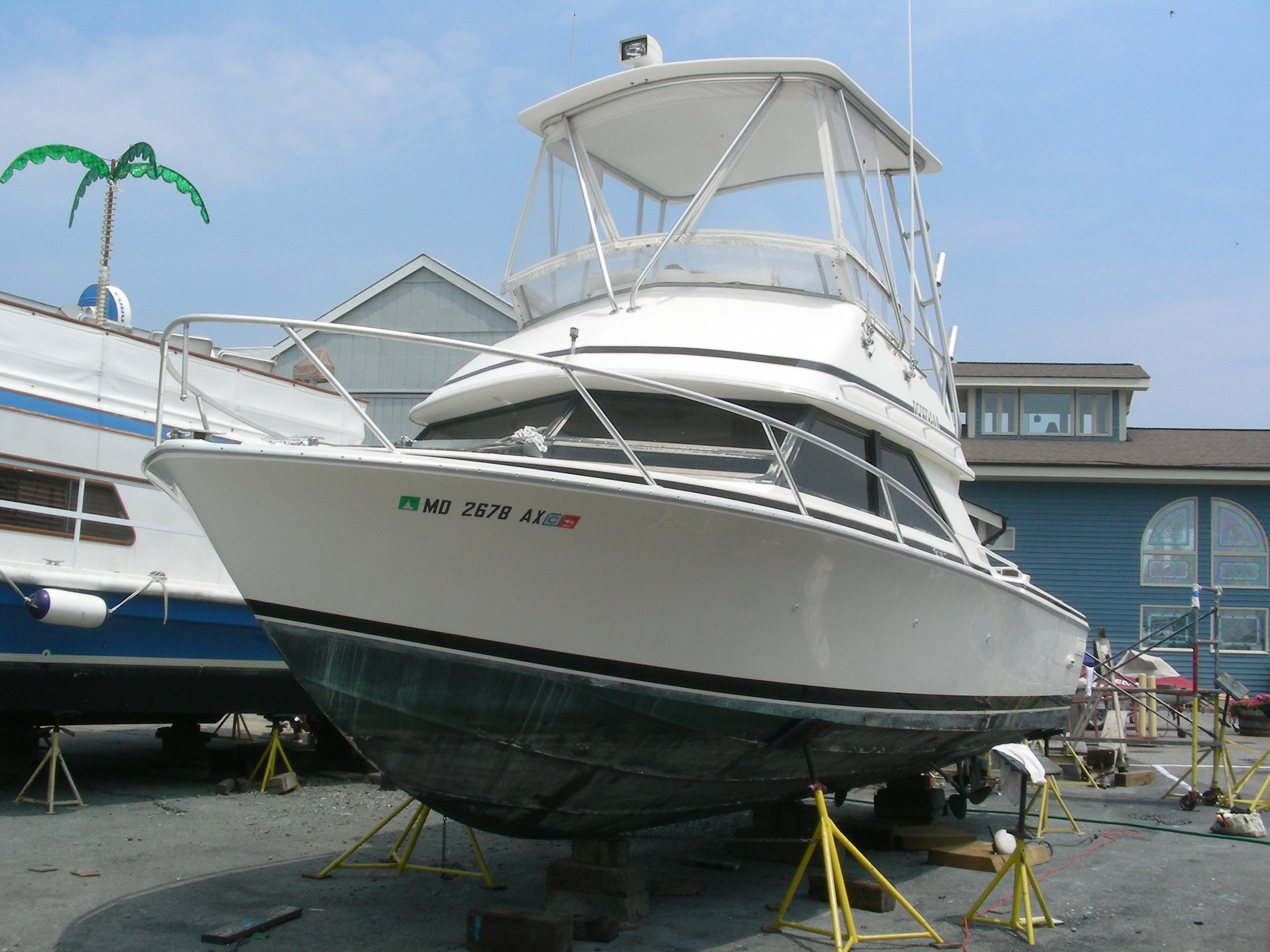 Sportfish 4