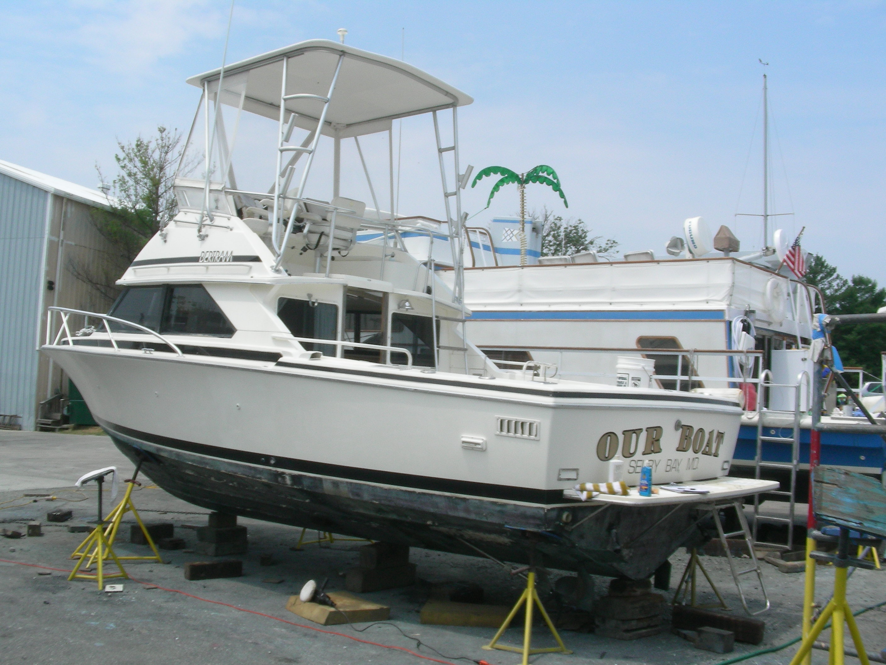 Sportfish 3