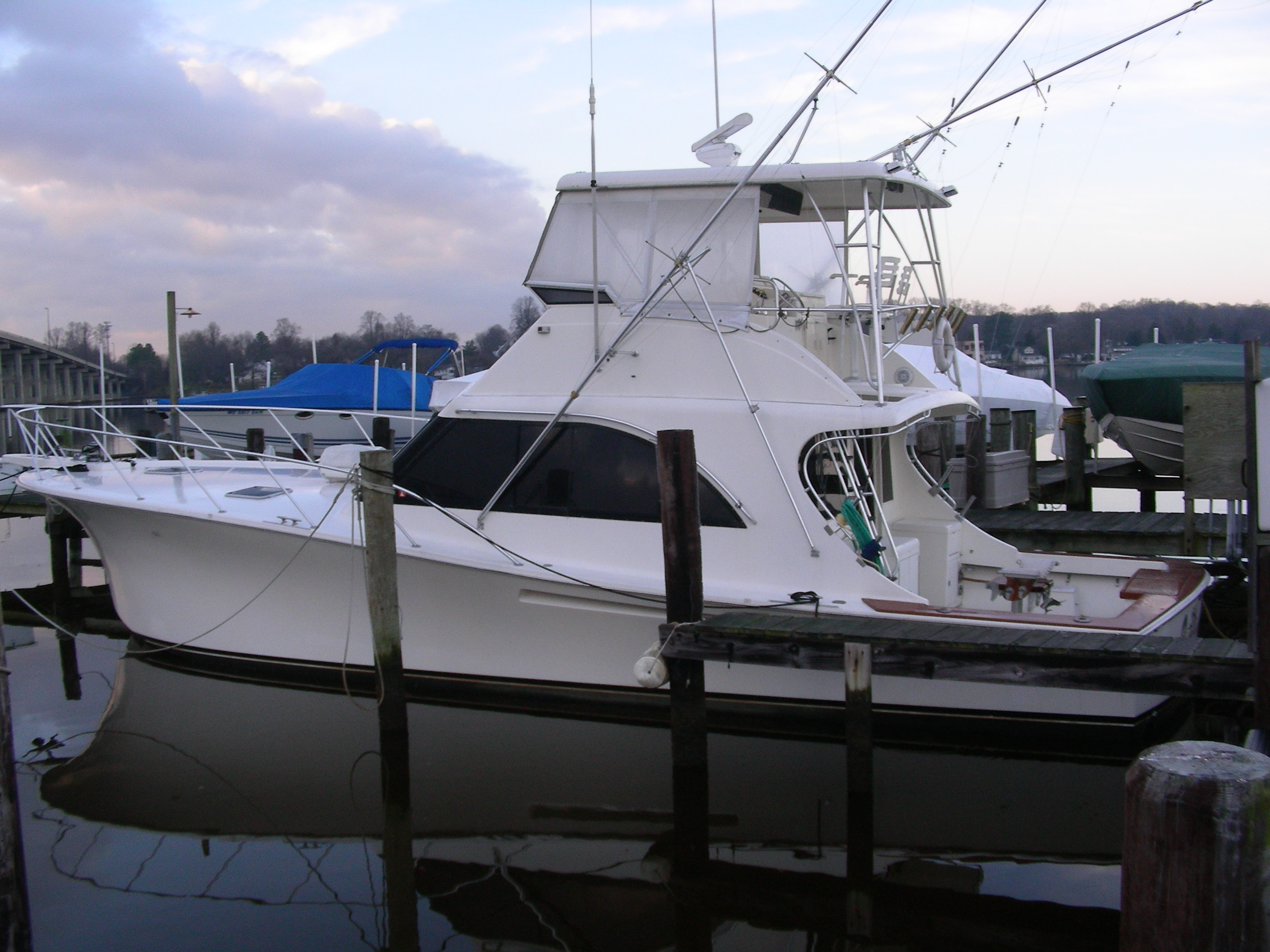 Sportfish 1