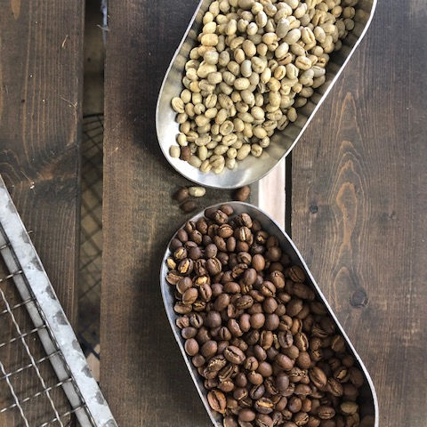 Golden Hills Coffee Roasters Colombia Green and Roasted Coffee Beans