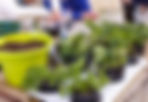 jardinage