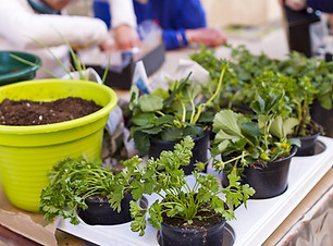 Gardening