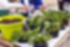 Gardening