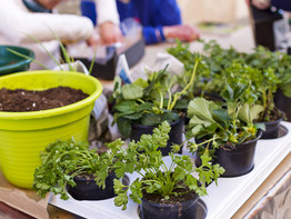 Top 5 Hoss Tools For Gardening