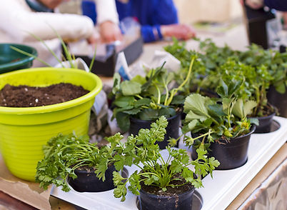 Gardening