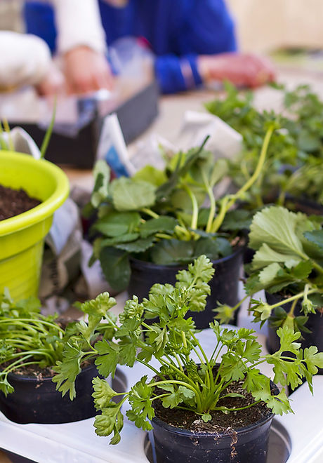 Gardening