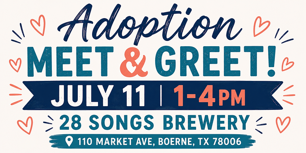 Adoption Meet and Greet