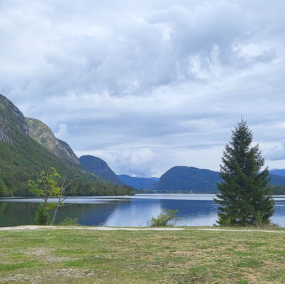Trekking Magic Around Bohinj Bistrica on Gundulaćs Great Eurasian Roam 🚌🏔️