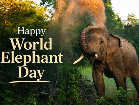 Happy World Elephant Day — August 12th, 2026