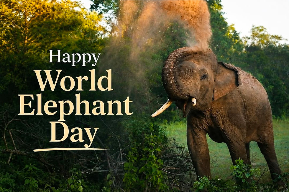 Happy World Elephant Day — August 12th, 2026