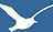 Vector of a Seagull
