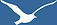 Vector of a seagull