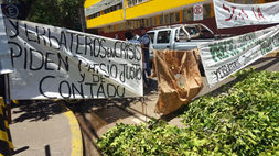 Debido a la falta de cumplimiento en el precio pactado. ¿Se viene otro yerbatazo?